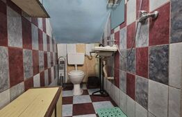Apartament cu 3 camere muncitori, 70 mp, zona Iosefin