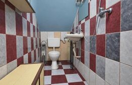 Apartament cu 3 camere muncitori, 70 mp, zona Iosefin