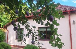 Casa de vanzare, 120 mp, zona Buzias