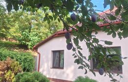 Casa de vanzare, 120 mp, zona Buzias