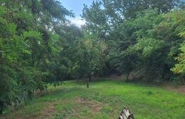 Casa de vanzare, 120 mp, zona Buzias