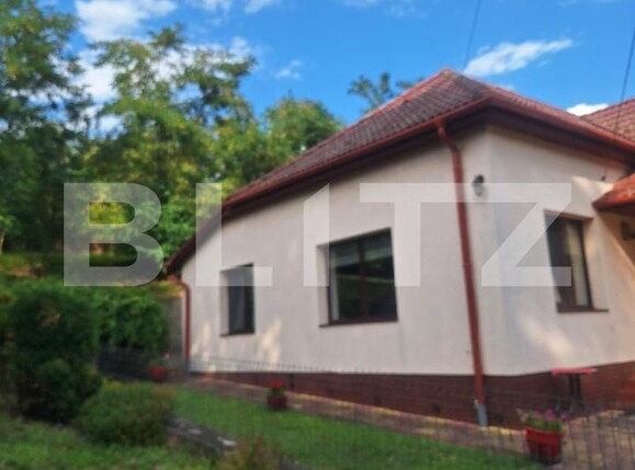 Casa de vânzare 3 camere Buziaş - 200327CV | BLITZ Timișoara | Poza20