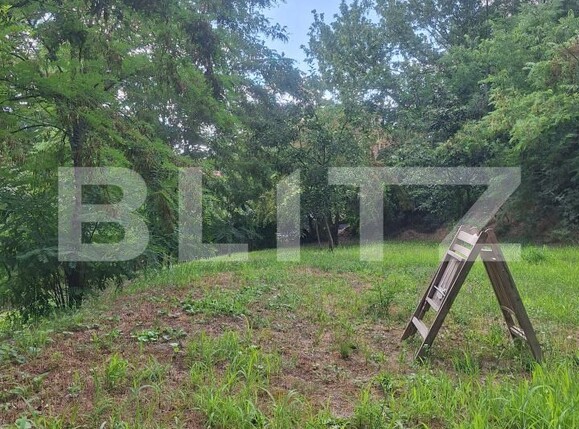 Casa de vânzare 3 camere Buziaş - 200327CV | BLITZ Timișoara | Poza22