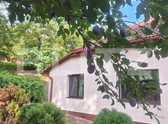 Casa de vânzare 3 camere Buziaş - 200327CV | BLITZ Timișoara | Poza23
