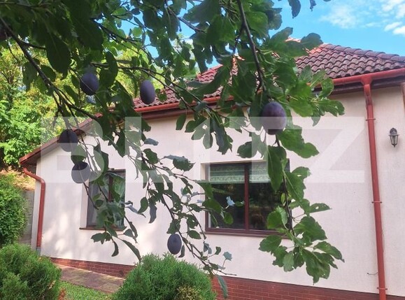 Casa de vânzare 3 camere Buziaş - 200327CV | BLITZ Timișoara | Poza21