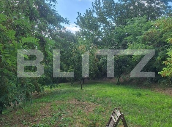 Casa de vânzare 3 camere Buziaş - 200327CV | BLITZ Timișoara | Poza24