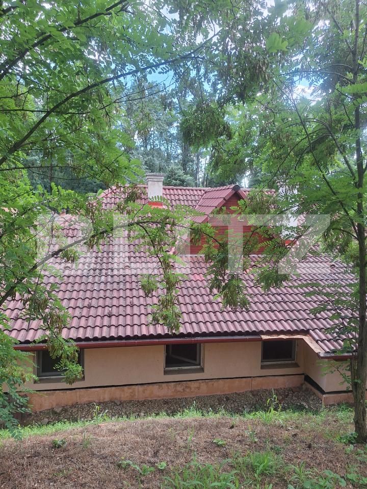 Casa de vânzare 3 camere Buziaş - 200327CV | BLITZ Timișoara | Poza3