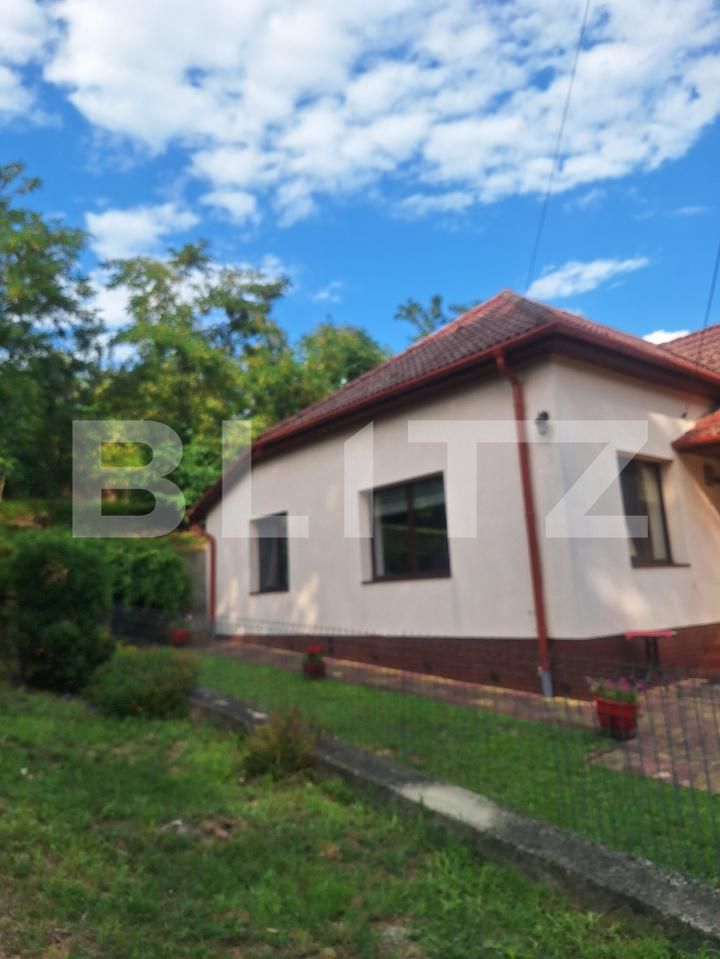 Casa de vânzare 3 camere Buziaş - 200327CV | BLITZ Timișoara | Poza20