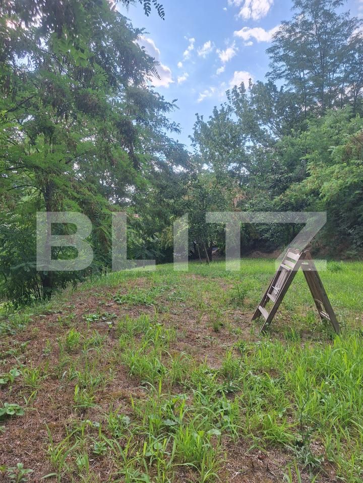 Casa de vânzare 3 camere Buziaş - 200327CV | BLITZ Timișoara | Poza22