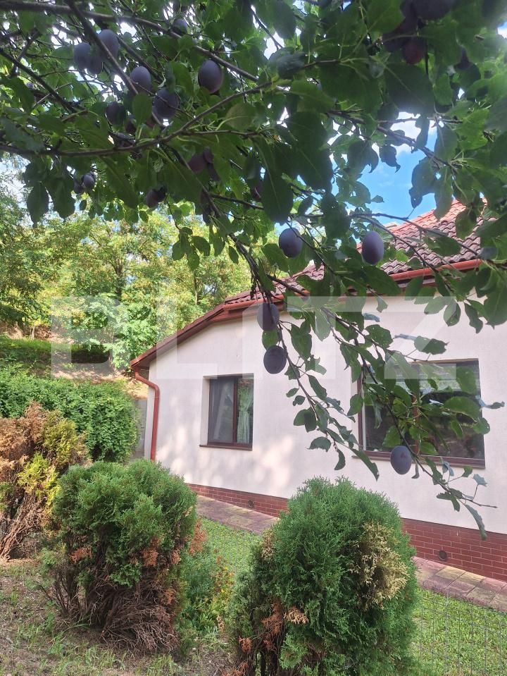 Casa de vânzare 3 camere Buziaş - 200327CV | BLITZ Timișoara | Poza23