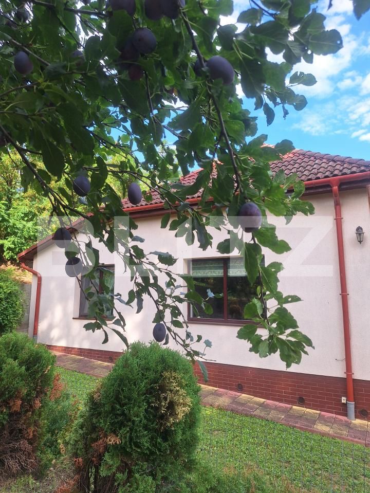 Casa de vânzare 3 camere Buziaş - 200327CV | BLITZ Timișoara | Poza21