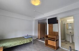 Hotel/pensiune, 497 mp, mobilata si utilata, cazare muncitori, zona Giroc