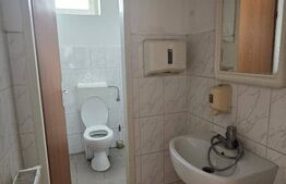 Hotel/pensiune, 497 mp, mobilata si utilata, cazare muncitori, zona Giroc