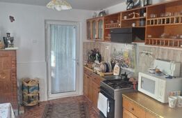 Casa individuala, 95 mp, zona Buzias