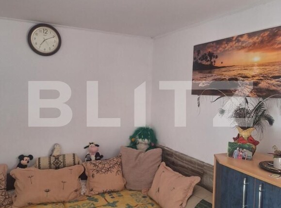 Casa de vânzare 4 camere Buziaş - 200363CV | BLITZ Timișoara | Poza14