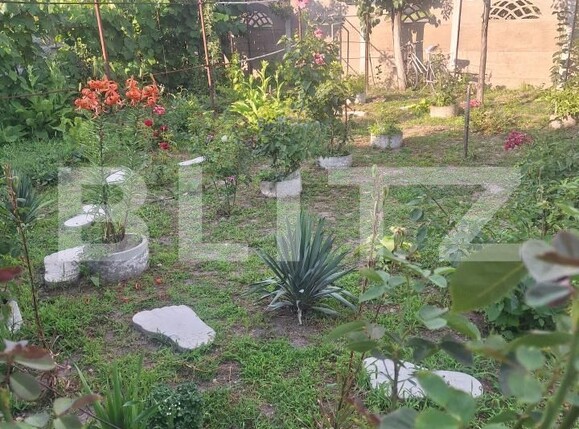 Casa de vânzare 4 camere Buziaş - 200363CV | BLITZ Timișoara | Poza25