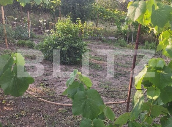 Casa de vânzare 4 camere Buziaş - 200363CV | BLITZ Timișoara | Poza23