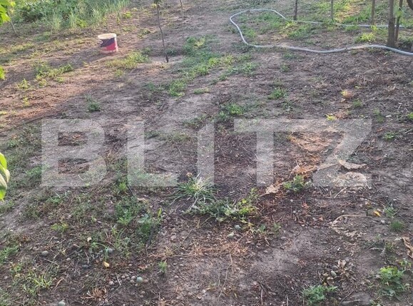 Casa de vânzare 4 camere Buziaş - 200363CV | BLITZ Timișoara | Poza20