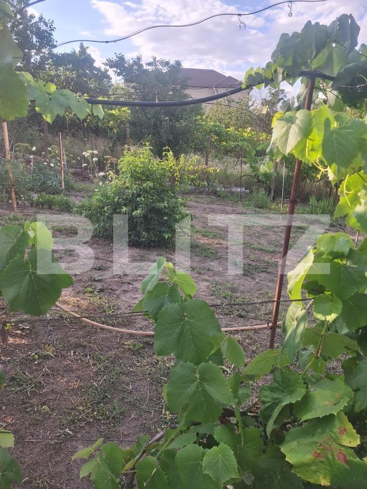 Casa de vânzare 4 camere Buziaş - 200363CV | BLITZ Timișoara | Poza23