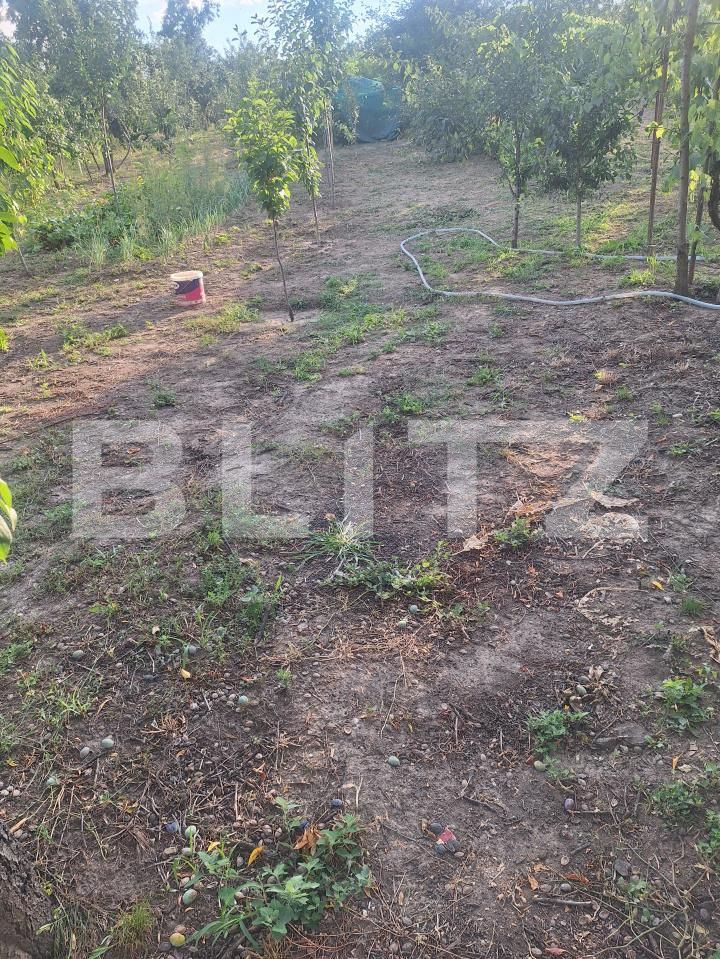 Casa de vânzare 4 camere Buziaş - 200363CV | BLITZ Timișoara | Poza20