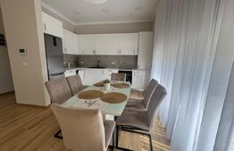 Duplex de inchiriat, 91 mp+25 mp terasa, zona Dumbrăvița