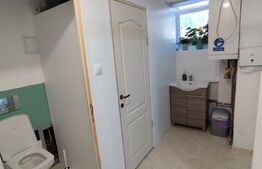 Spatiu comercial, 60 mp, zona Balcescu