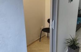 Spatiu comercial, 60 mp, zona Balcescu