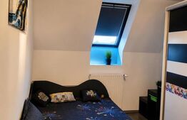 Apartament 2 camere, 56 mp, zona Dambovita