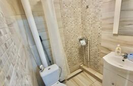 Garsonieră la curte comună, 20 mp, zona Elisabetin