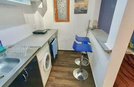 Garsonieră la curte comună, 20 mp, zona Elisabetin