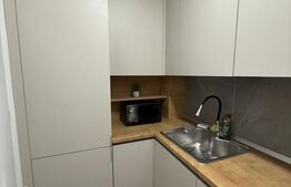 Apartament 1 camera, 40 mp + 4 mp balcon, zona Tipografilor