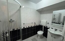 Apartament cu 3 camere, 120 mp, zona Iosefin