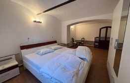 Apartament cu 3 camere, 120 mp, zona Iosefin