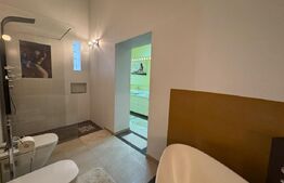 Apartament cu 3 camere, 120 mp, zona Iosefin