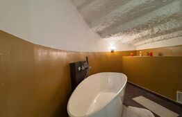 Apartament cu 3 camere, 120 mp, zona Iosefin