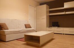 Apartament 2 camere, 52 mp, zona Lipovei 