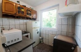 Apartament 1 camera, 24 mp, etaj 1, zona Blascovici