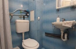 Apartament 1 camera, 24 mp, etaj 1, zona Blascovici