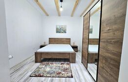 Apartament 2 camere, 53 mp la curte, zona Traian 