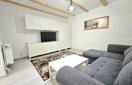 Apartament 2 camere, 53 mp la curte, zona Traian 