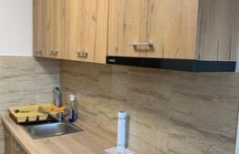 Apartament cu 2 camere, 42 mp, zona Dambovita