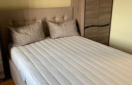Apartament cu 2 camere, 42 mp, zona Dambovita