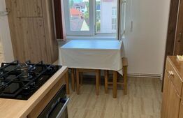 Apartament cu 2 camere, 42 mp, zona Dambovita