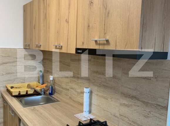 Apartament de închiriat 2 camere Dambovita - 202239AI | BLITZ Timișoara | Poza3