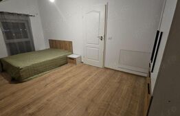 Casa 4 camere, 115 mp, Cartier Europa - Mosnita Noua