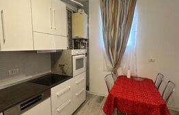 Casa 117 mp zona Dambovita- Fraidorf, 4 camere + garaj  -  700 euro