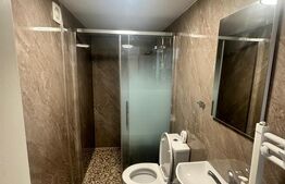 Casa 117 mp zona Dambovita- Fraidorf, 4 camere + garaj  -  700 euro