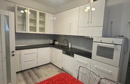 Casa 117 mp zona Dambovita- Fraidorf, 4 camere + garaj  -  700 euro