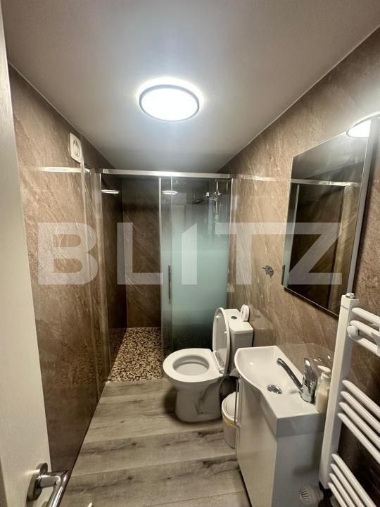 Casa de închiriat 4 camere Dambovita - 202517CI | BLITZ Timișoara | Poza13