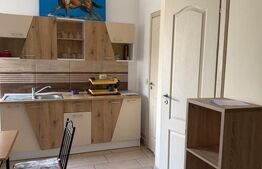 Apartament cu o camera si terasa, curte comuna, Zona Steaua - 275 euro